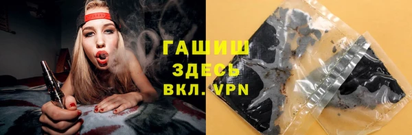 прущие грибы Михайловск