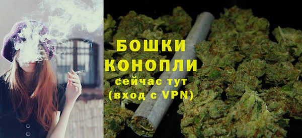прущие грибы Михайловск