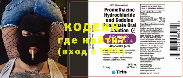 прущие грибы Михайловск