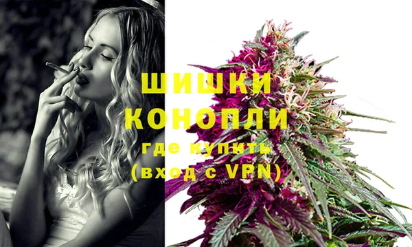 прущие грибы Михайловск