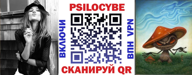 Купить  Луза  Псилоцибиновые грибы Psilocybine cubensis 